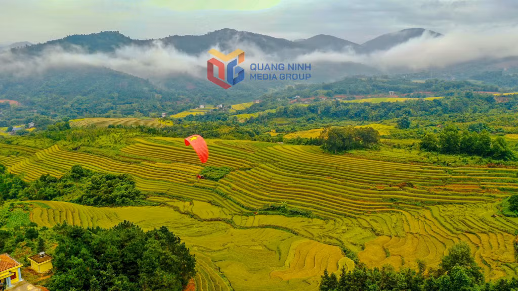 Mùa vàng Bình Liêu