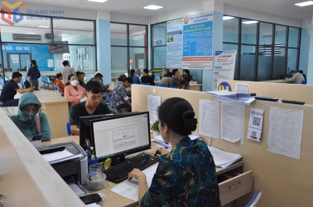 Tư vấn việc làm cho người lao động tại Trung tâm Dịch vụ việc làm tỉnh Quảng Ninh.