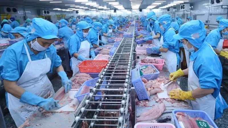Ảnh minh họa: Chế biến thủy sản xuất khẩu. (Nguồn: TTXVN)
