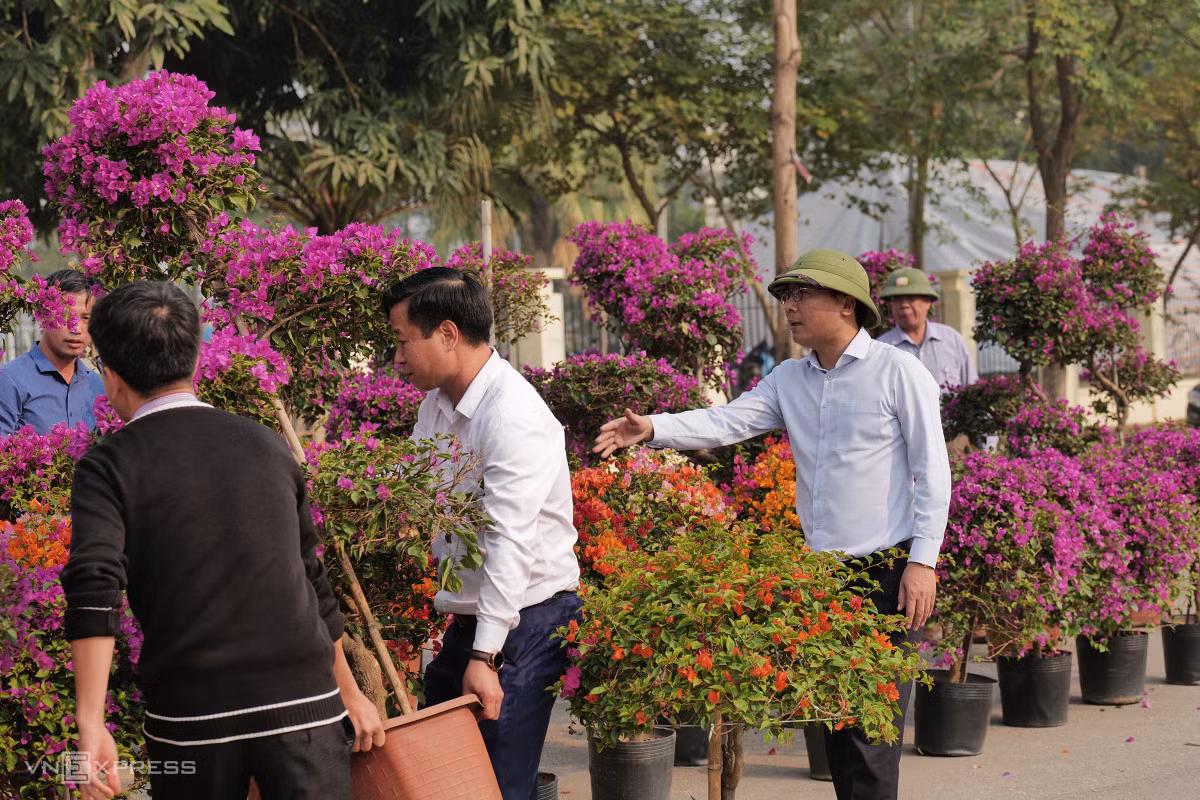 Bí thư huyện ủy Mê Linh Nguyễn Thanh Liêm cho biết Festival là dịp để giới thiệu vùng đất Mê Linh với nghề trồng hoa truyền thống và nhiều giá trị văn hóa lịch sử tới du khách.