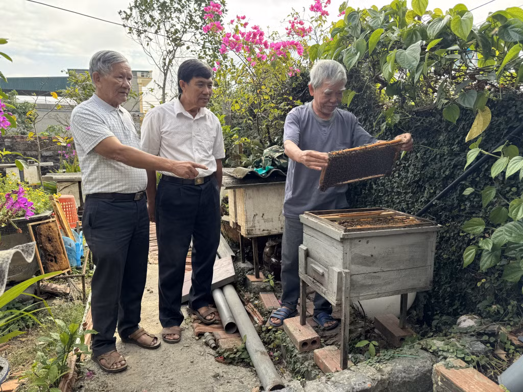 Các thành viên CLB Liên thế hệ tự giúp nhau khu 1, 2, 3, 4, 7 (phường Việt Hưng, TP Hạ Long) giúp nhau phát triển nghề nuôi ong mật