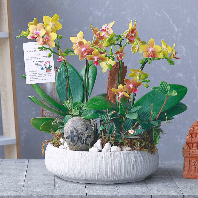 Thiết kế chậu tiểu cảnh sang trọng với Đá thư pháp được thiết kế thủ công