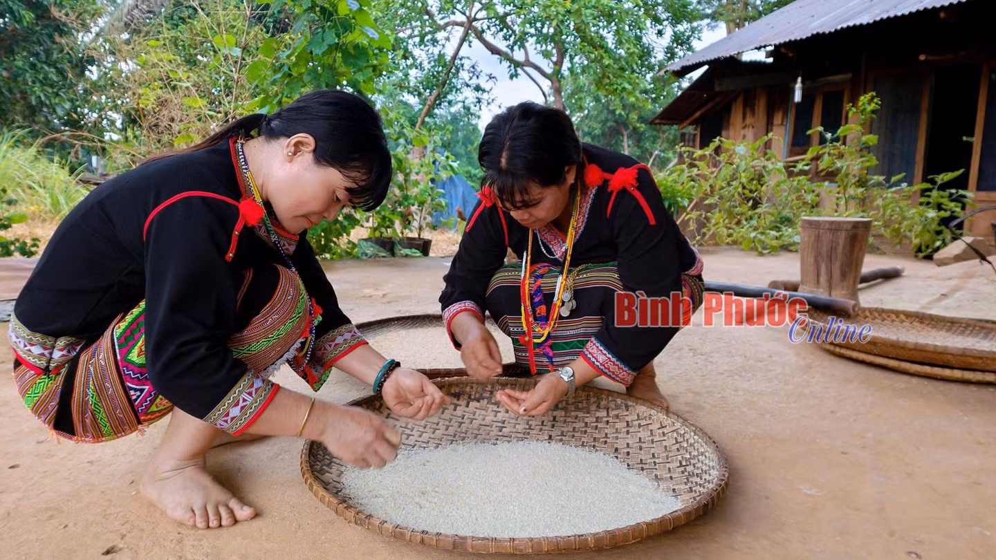 Gạo qua nhiều lần sàng sảy đã có thể sử dụng