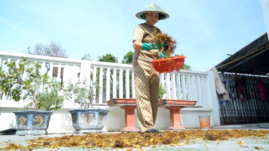 ...sau đó mang phơi khô khoảng 10 nắng.