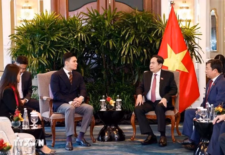 Chủ tịch Quốc hội Trần Thanh Mẫn tiếp Tổng Giám đốc Sembcorp Development, kiêm Chủ tịch Hội đồng quản trị VSIP Group Lee Ark Boon. Ảnh: TTXVN