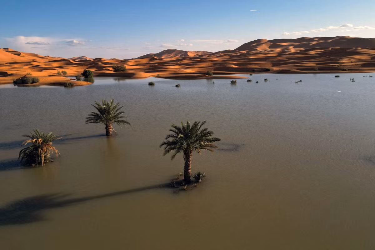 Lũ ngập thân cọ ở sa mạc Sahara, địa phận Morocco, ngày 24/10.