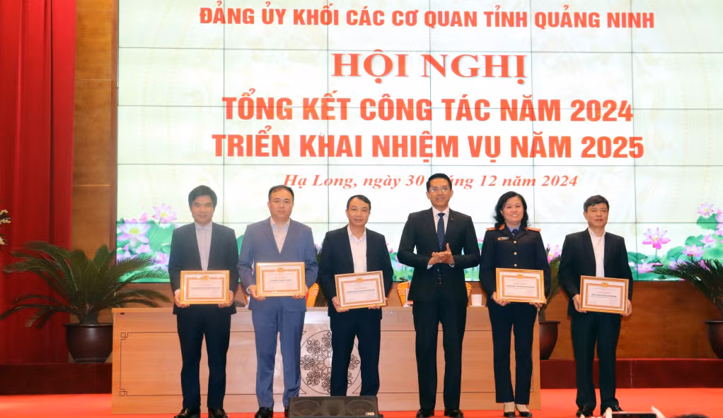 Các tổ chức Đảng có thành tích xuất sắc trong phong trào thi đua kiểm tra, giám sát năm 2024