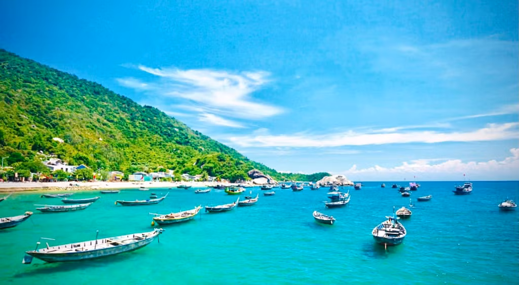 Du khách nhất định phải chọn Tour Cù Lao Chàm của TourDaNangCity để được trải nghiệm nhiều dịch vụ đẳng cấp nhất