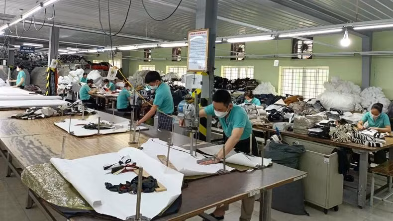 Cắt mẫu sản phẩm tại Tổng công ty cổ phần Dệt may Nam Định.