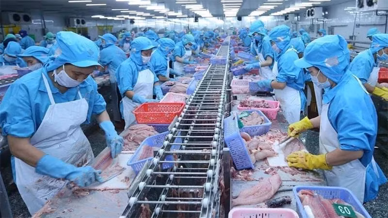 Chế biến thủy sản xuất khẩu. (Nguồn: TTXVN)