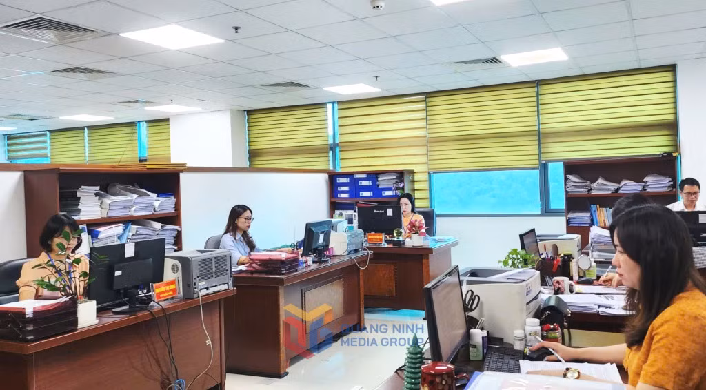Cán bộ phòng Văn bản và theo dõi thi hành pháp luật (Sở Tư pháp) rà soát, thẩm định văn bản.