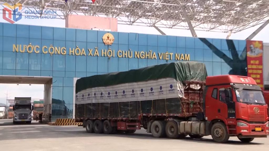 Hoạt động xuất nhập khẩu 8 tháng năm 2025 trên địa bàn tỉnh đạt nhiều kết quả tích cực.