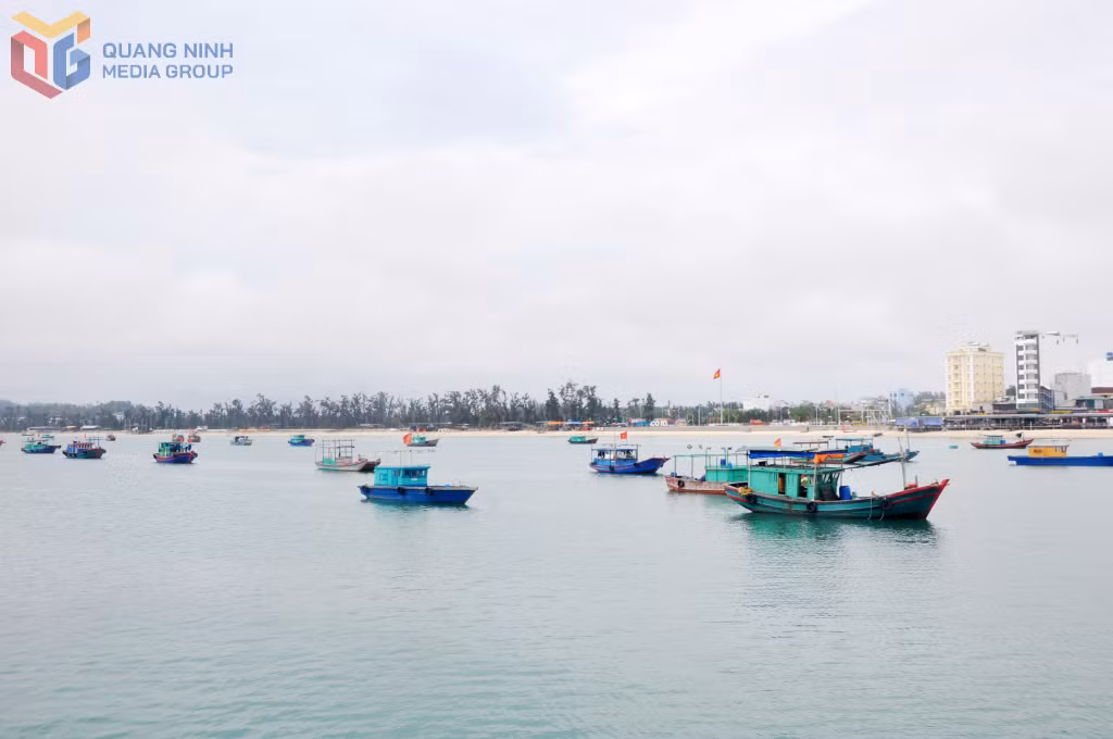 Ngư nghiệp là lĩnh vực có thế mạnh của Cô Tô. Giai đoạn 2020-2025, sản lượng khai thác thuỷ sản trên địa bàn đạt 28.900 tấn.