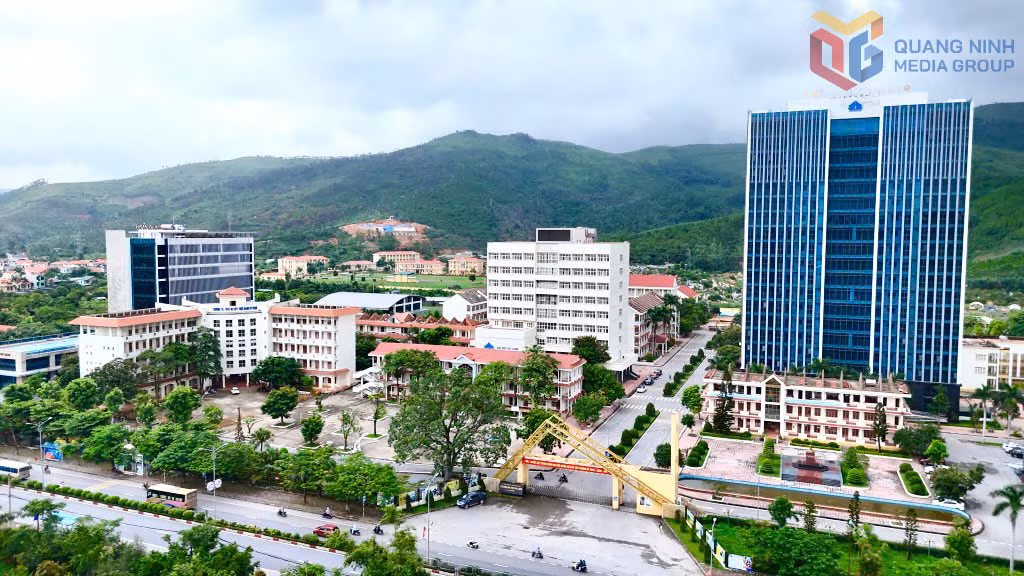 Trường Đại học Hạ Long.