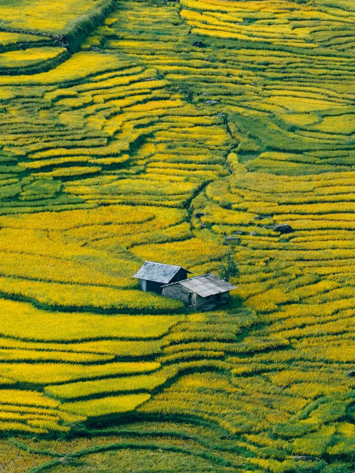 Kể về lịch trình ở Lào Cai, anh Trọng Nghĩa sau khi ở Tả Van, Sa Pa thì phượt xe máy từ Sa Pa lên Y Tý. “Cung đường này hơi xấu, tôi phải tốn hơn 4 tiếng chạy xe, đường nhiều đá và có bùn lầy. Tuy đường xấu, nhưng đến Y Tý thì cảnh quan để lại nhiều ấn tượng khó quên, với vẻ hoang sơ và bình yên”.