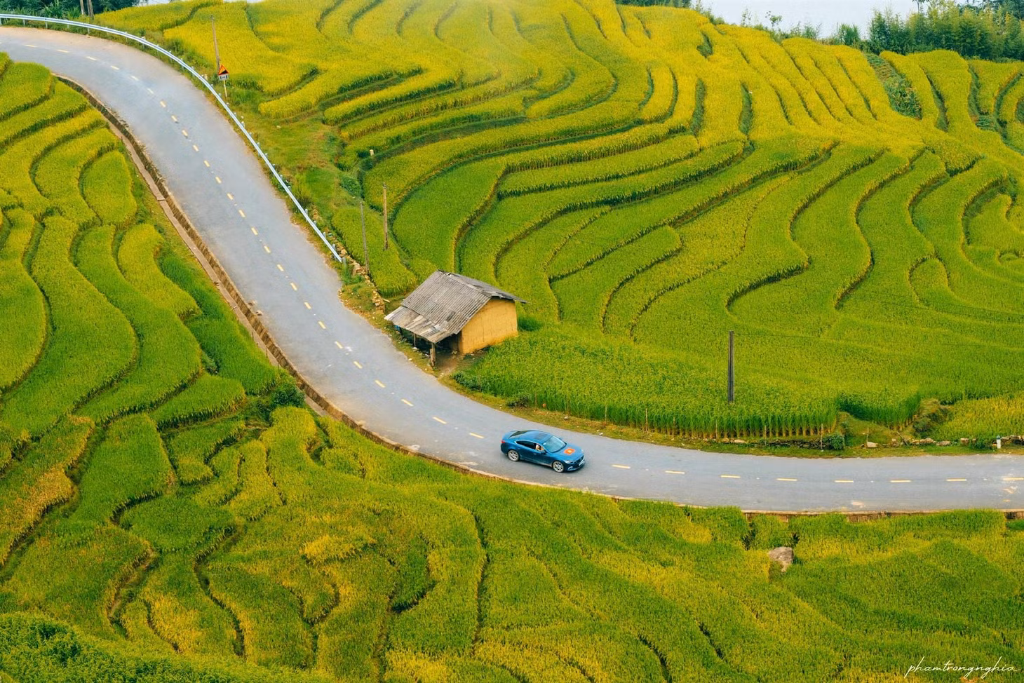 Dù lúa ở Y Tý chín muộn hơn so với Sa Pa, du khách muốn ngắm mùa lúa chín đẹp và đều thì đừng chần chừ mà hãy lên đường ngay.