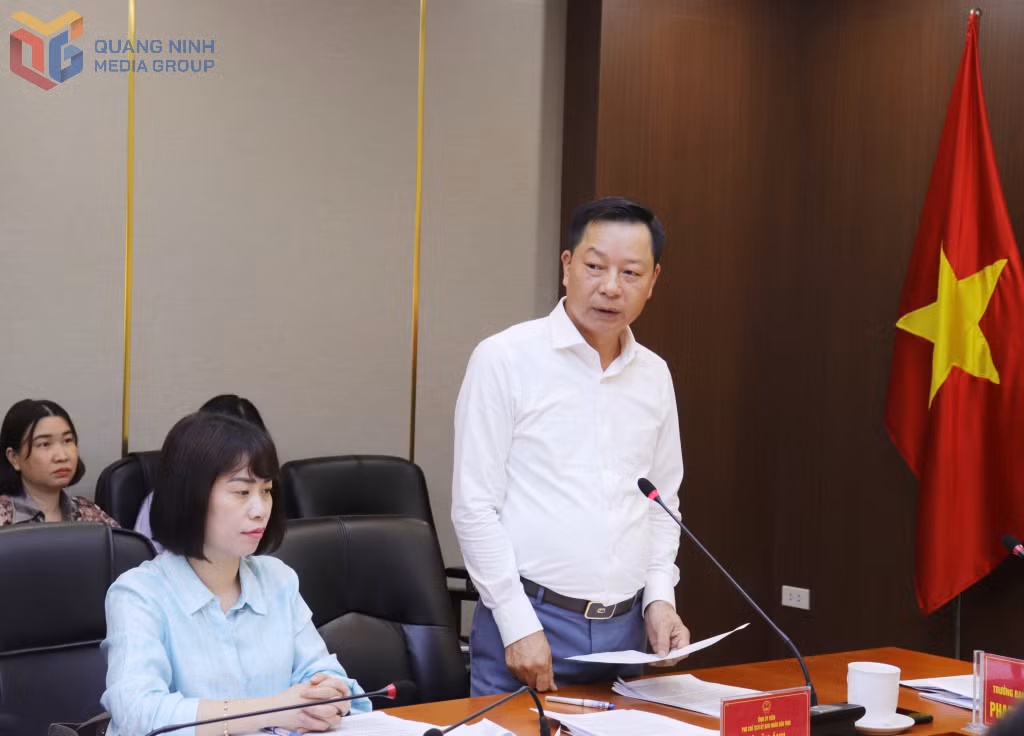 Đồng chí Lê Văn Ánh, Phó Chủ tịch UBND tỉnh phát biểu tại cuộc họp.