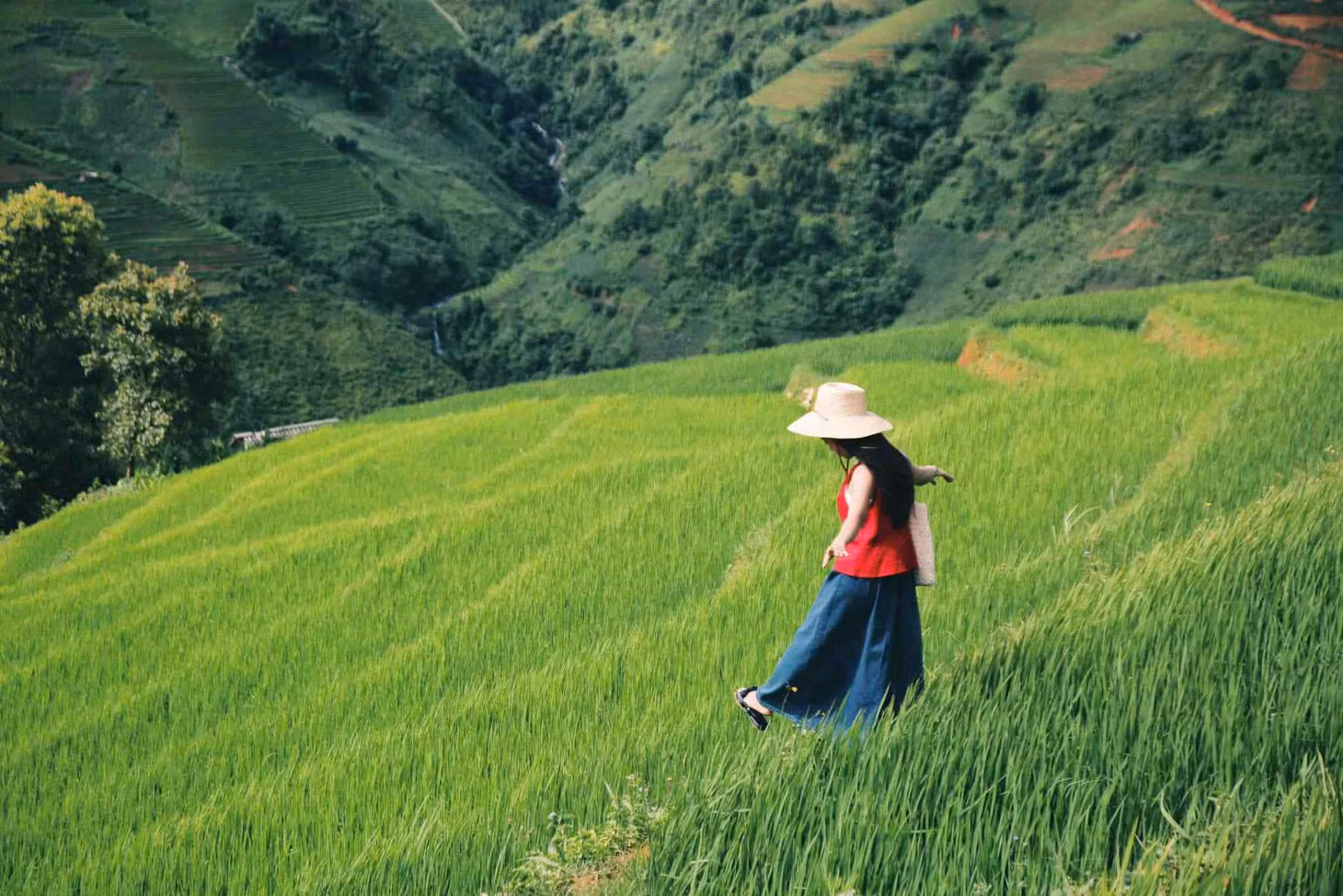 Đến Xím Vàng, du khách không chỉ được chiêm ngưỡng cảnh sắc thiên nhiên mà còn cảm nhận được không khí trong lành của vùng cao. Ảnh: Diệp Hữu Đạt