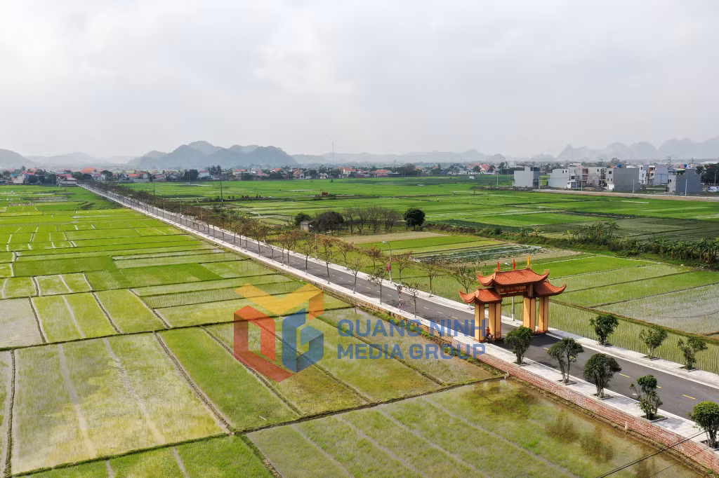 Đường vào khu Nội Hoàng Đông, phường Hoàng Quế (3-2020). Ảnh: Đỗ Giang
