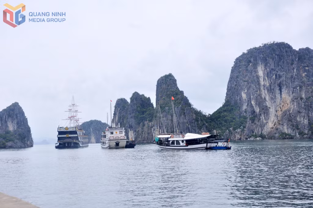 Du thuyền của Công ty CP Du thuyền Đông Dương đưa khách đến khu vực hang Cỏ, thuộc hành trình VHL4 trên Vịnh Hạ Long.