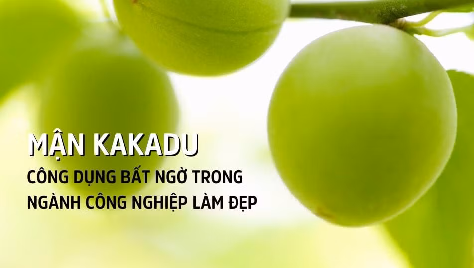 Mận giàu vitamin C.