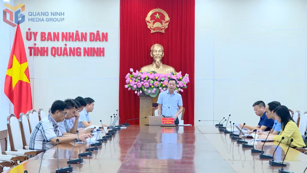 Đồng chí Lê Văn Ánh, Phó Chủ tịch UBND tỉnh phát biểu kết luận tại cuộc họp.