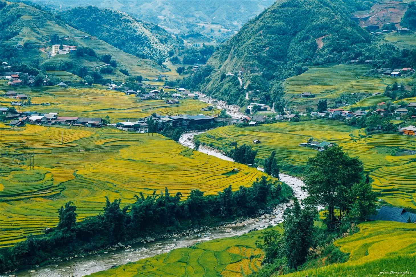 Phong cảnh bản Tả Van với dòng suối Mường Hoa vào đầu mùa lúa chín đẹp như tranh vẽ.