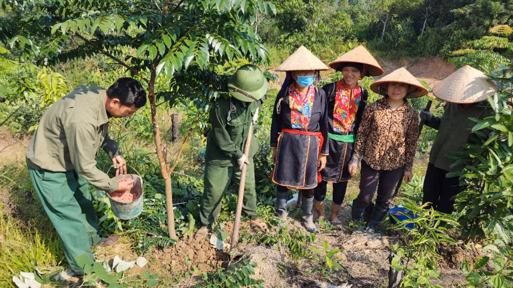 Anh Nịnh Văn Năm hướng dẫn người dân chăm sóc cây Lim xanh.