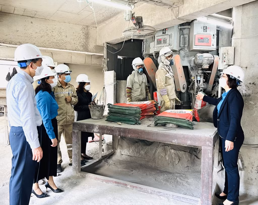 Sản xuất tại Công ty CP Xi măng và Xây dựng Quảng Ninh.