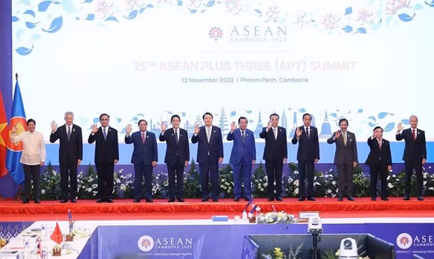 Indonesia keu goi ASEAN+3 doan ket ung pho voi khung hoang hinh anh 1