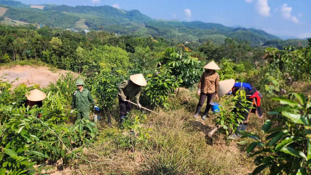 Mỗi thời vụ, gia đình anh Nịnh Văn Năm, thường xuyên tạo việc làm cho 10 - 15 lao động tại phương.
