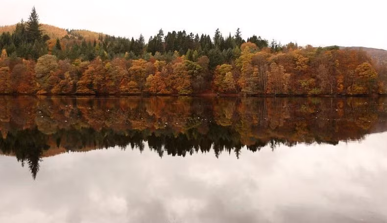 Những chiếc lá mùa thu được phản chiếu trên hồ Loch Faskally ở Pitlochry, Scotland, ngày 2/11. (Ảnh: REUTERS)