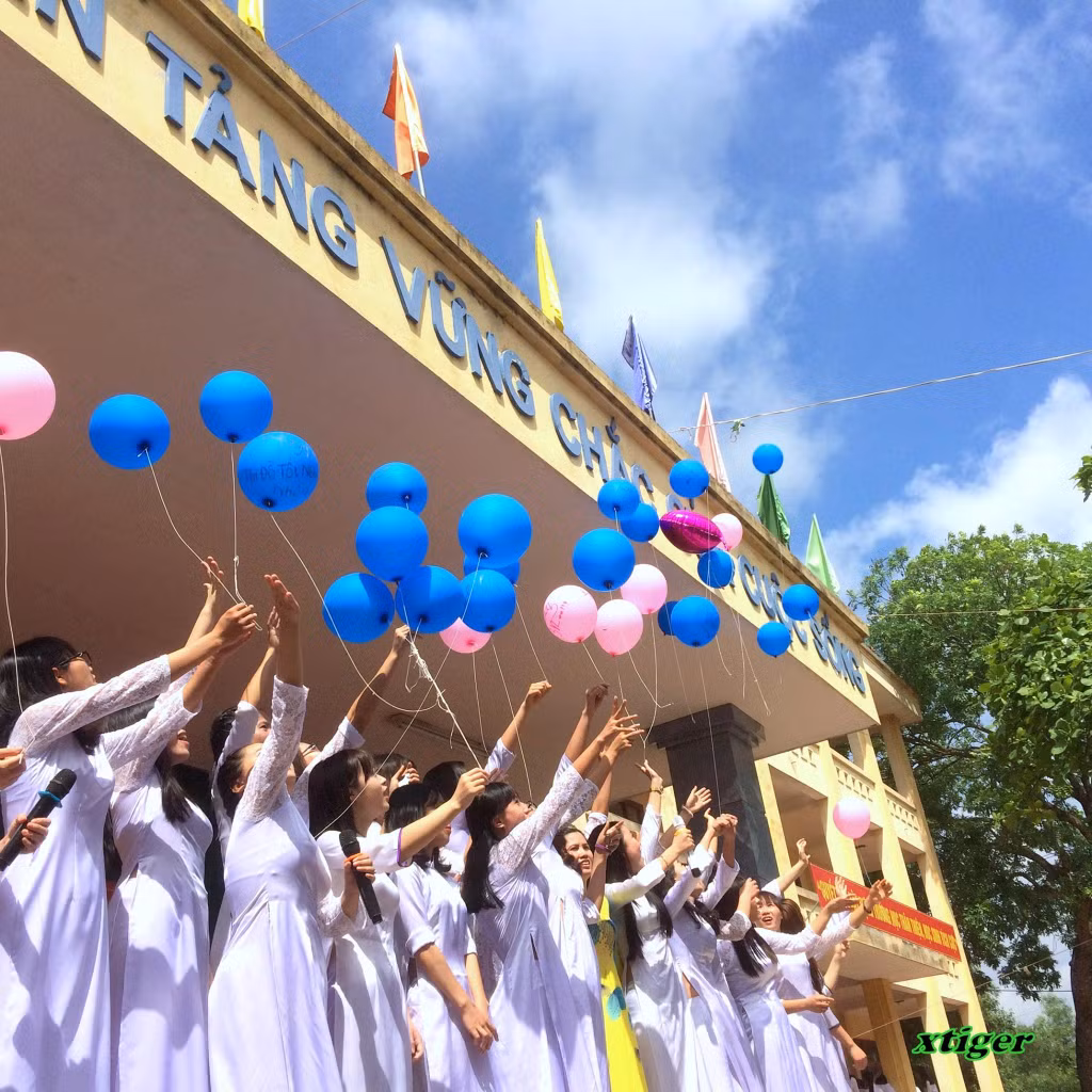 Mỗi học sinh Trường THPT Bạch Đằng đều có nhiều kỷ niệm, nhưng đọng lại trong trái tim mỗi người vẫn là những cảm xúc ấm áp của những năm tháng cùng sống, cùng học tập và trưởng thành dưới mái trường thân yêu này.