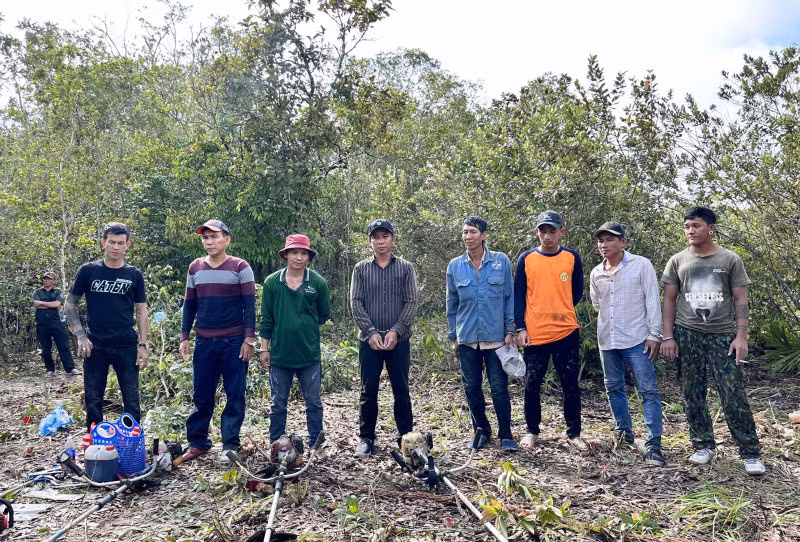 Các đối tượng bị bắt quả tang khi đang thực hiện hành vi phá rừng.