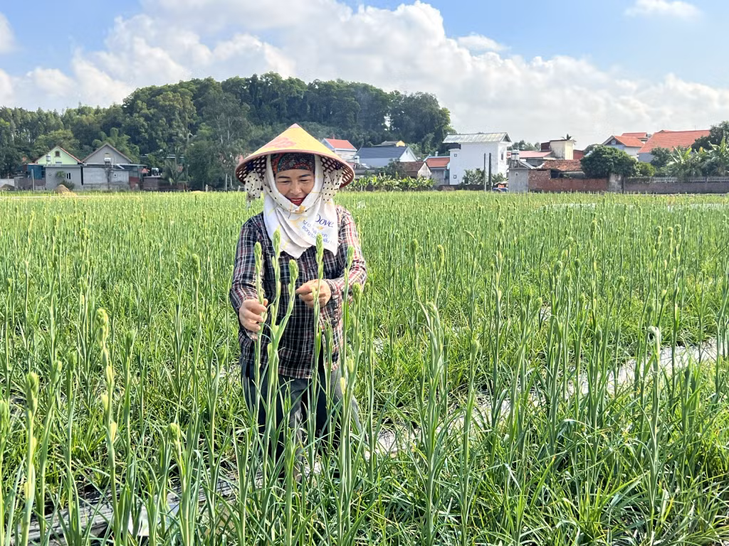 Người dân Bình Lục Hạ thi đua sản xuất.