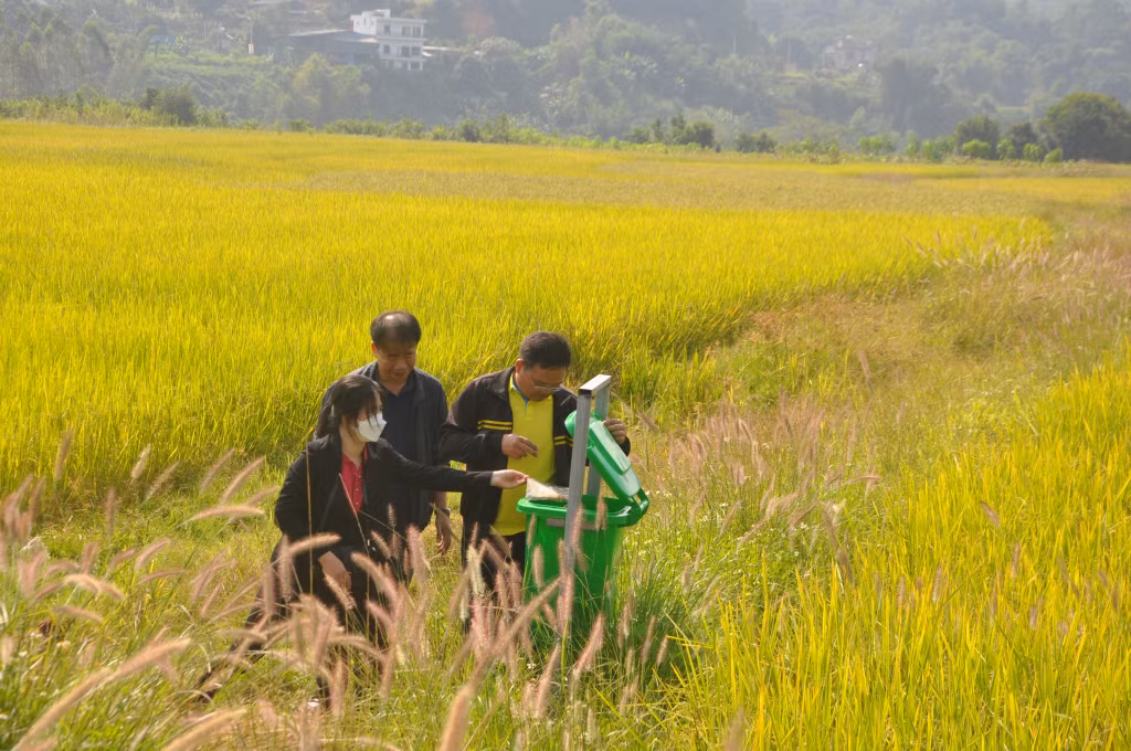 Cán bộ Phòng Tài nguyên - Môi trường huyện Bình Liêu và xã Lục Hồn kiểm tra các thùng chứa vỏ thuốc bảo vệ thực vật tại cánh đồng thôn Bản Chuồng.