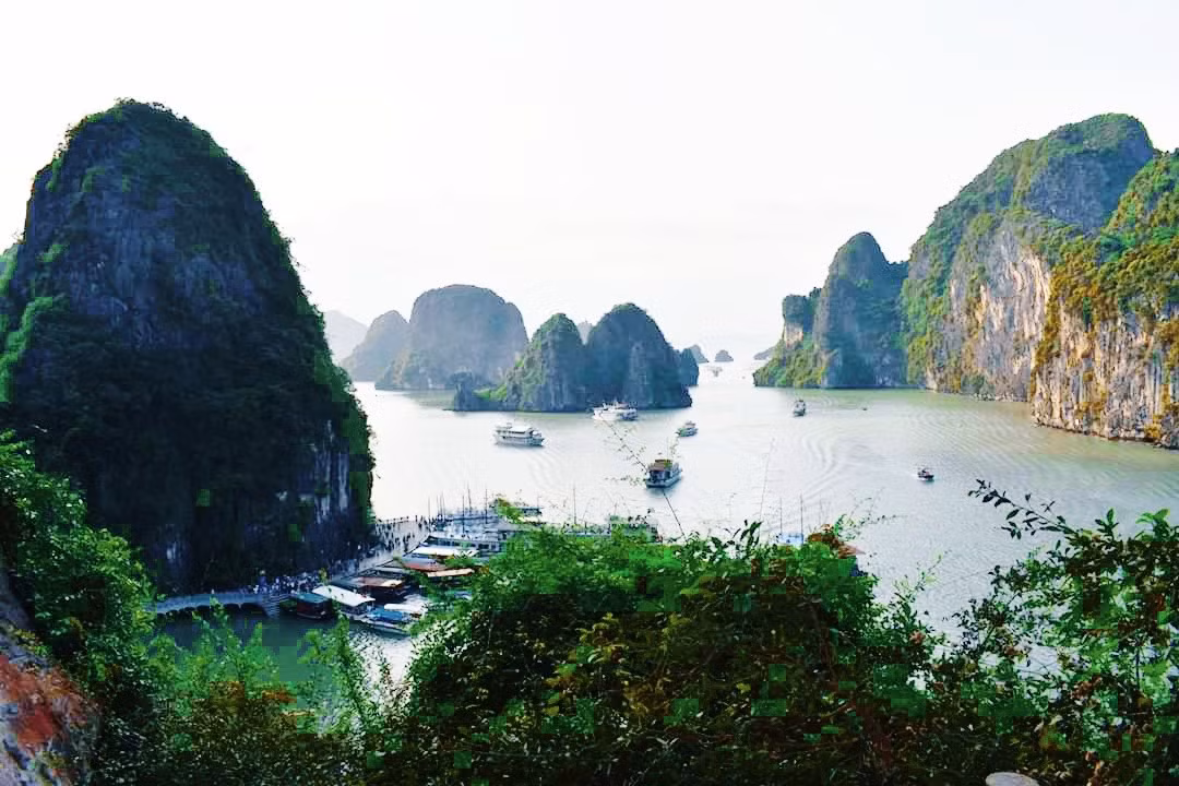 Vịnh Hạ Long.