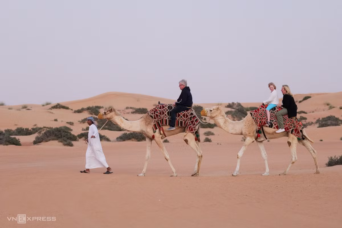 Hoàng hôn trên sa mạc Dubai ảnh 5