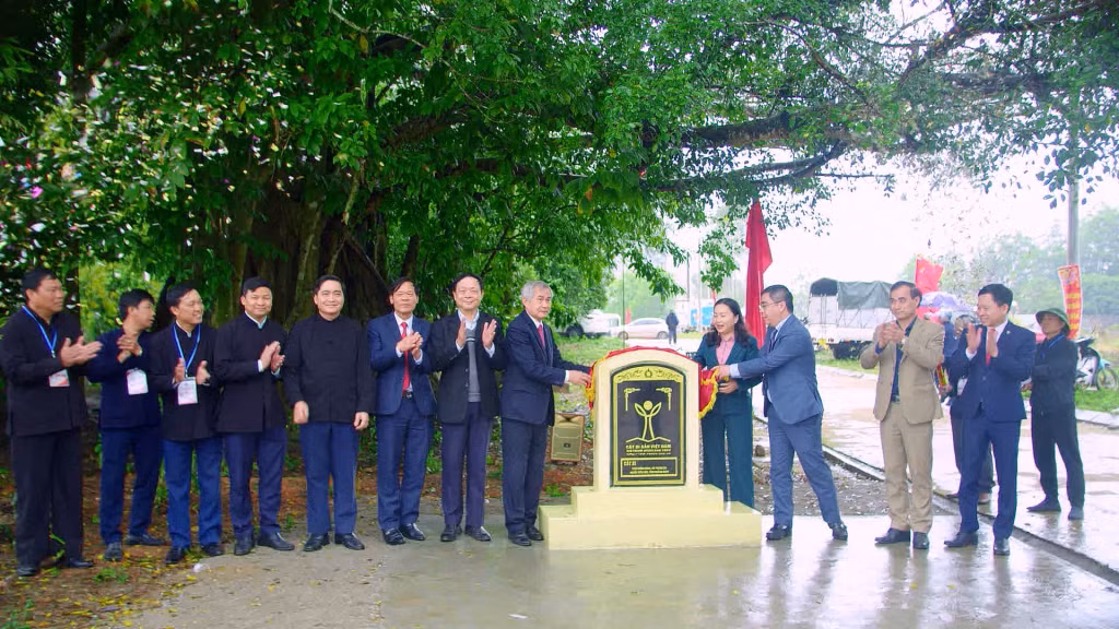 Đ/c Vi Ngọc Bích cùng các đ/c Lãnh đạo huyện Tiên Yên gắn biển Cây di sản Việt Nam cho Cây Si và Cây Đa có tuổi đời trên 350 năm