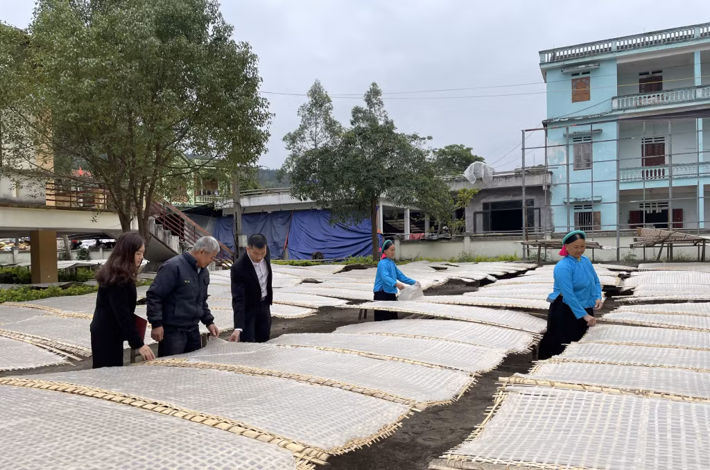 Cán bộ Agribank huyện Bình Liêu kiểm tra việc sử dụng vốn của ông La A Chiu (thôn Nà Ếch, xã Húc Động, huyện Bình Liêu).