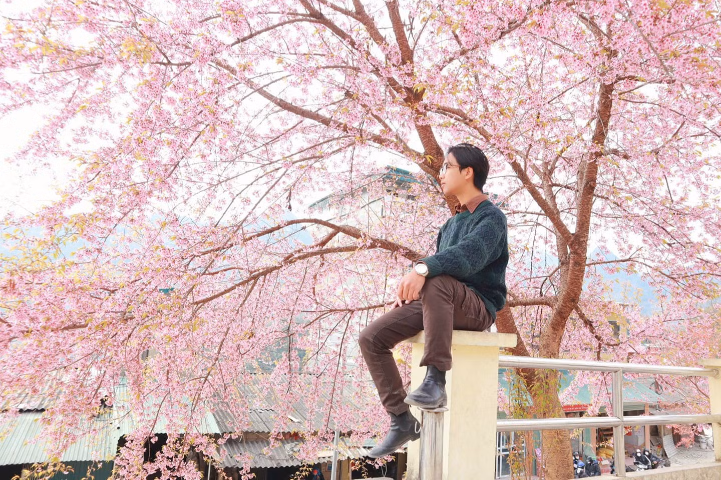 Ảnh: Lưu Tiến Đạt