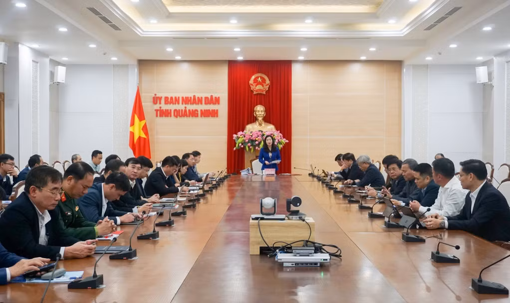Phó Chủ tịch UBND tỉnh Nguyễn Thị Hạnh phát biểu tại phiên họp.