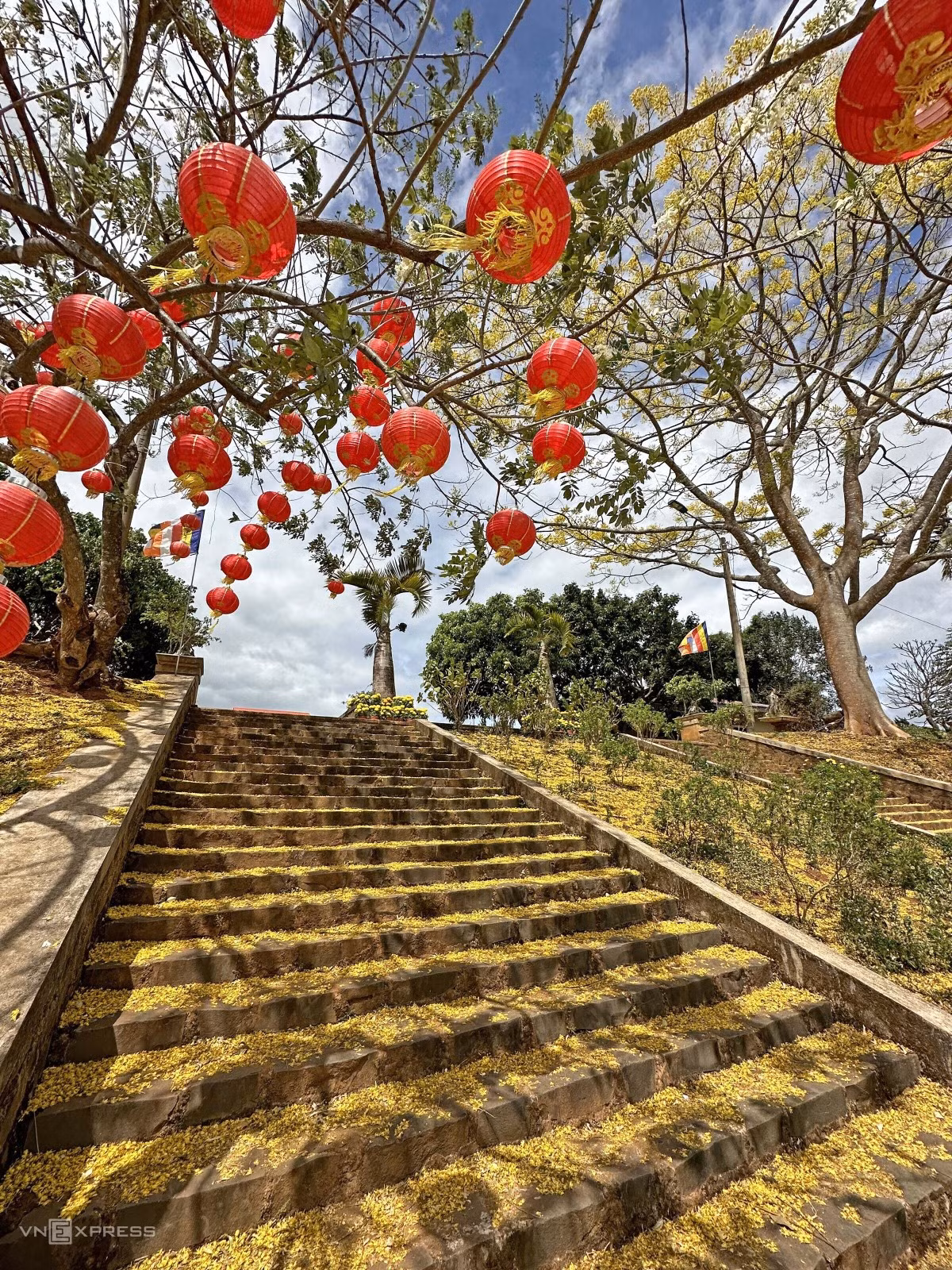 Bậc thang lên chùa Phổ Độ ở huyện Di Linh phủ vàng cánh hoa phượng.