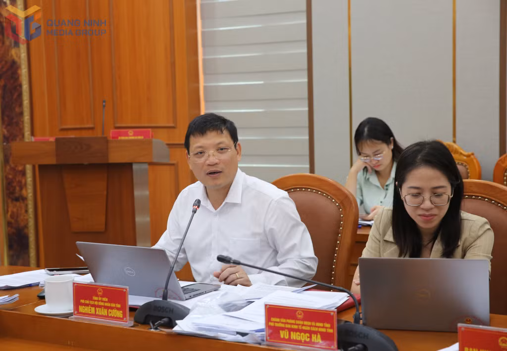 Đồng chí Nghiêm Xuân Cường, Phó Chủ tịch HĐND tỉnh phát biểu tại cuộc họp.