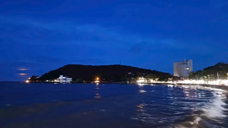 AI mở ra hướng mới cho bảo tồn đa dạng sinh học biển.