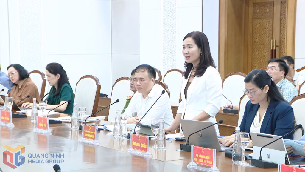 Đồng chí Nguyễn Thị Hạnh, Phó Chủ tịch UBND tỉnh phát biểu tại buổi làm việc.