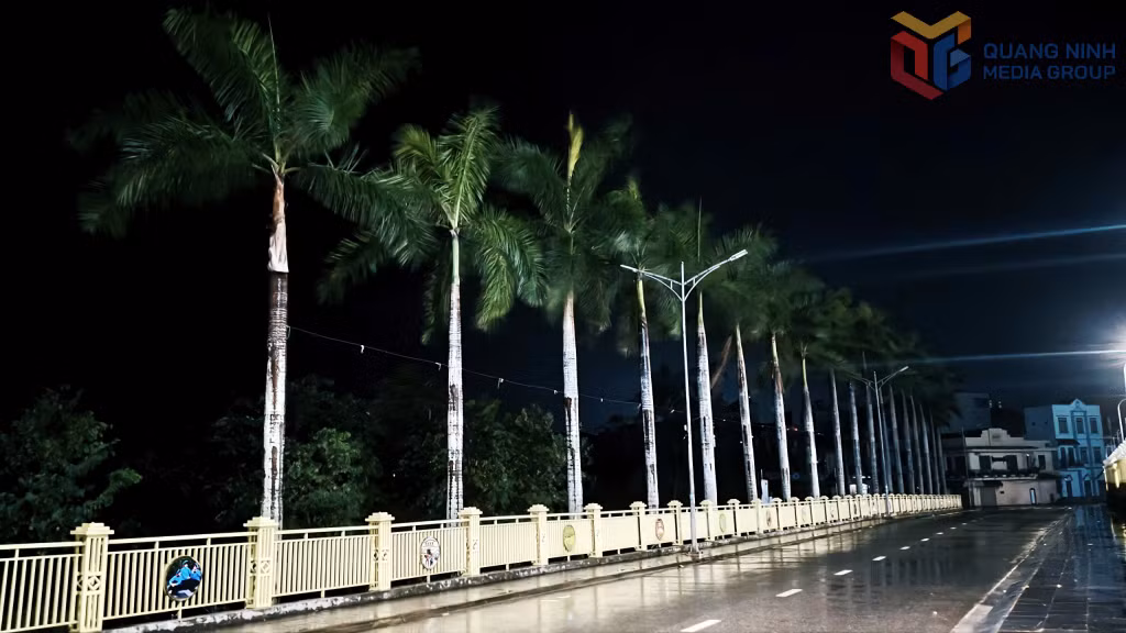 Rạng sáng 6/10, trên địa bàn xã Tiên Yên có gió cấp 5, cấp 6, giật cấp 6, cấp 7; mưa nhỏ và mưa vừa ngắt quãng.