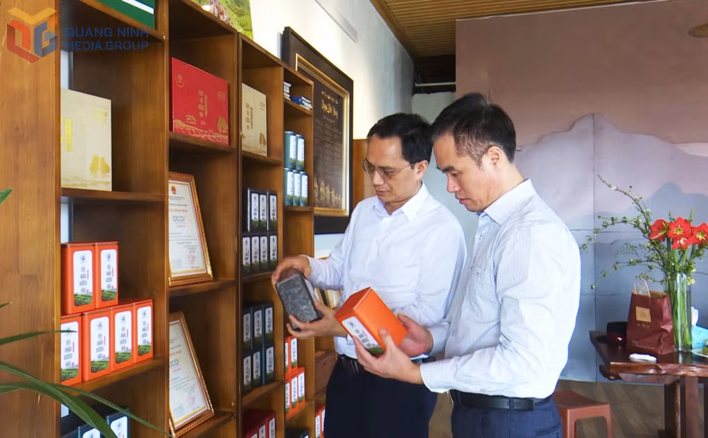 Sở KH&amp;CN tổ chức kiểm tra, đánh giá các sản phẩm KHCN từ chè tại Công ty TNHH Đầu tư xây dựng và thương mại Việt Tú.