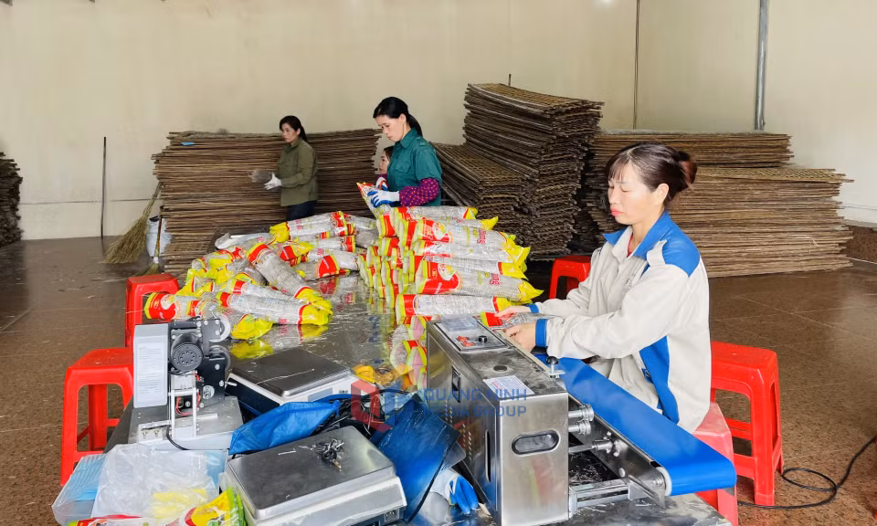 Công ty CP Thương mại và Dịch vụ Bình Liêu tạo việc làm cho nhiều lao động là người DTTS.
