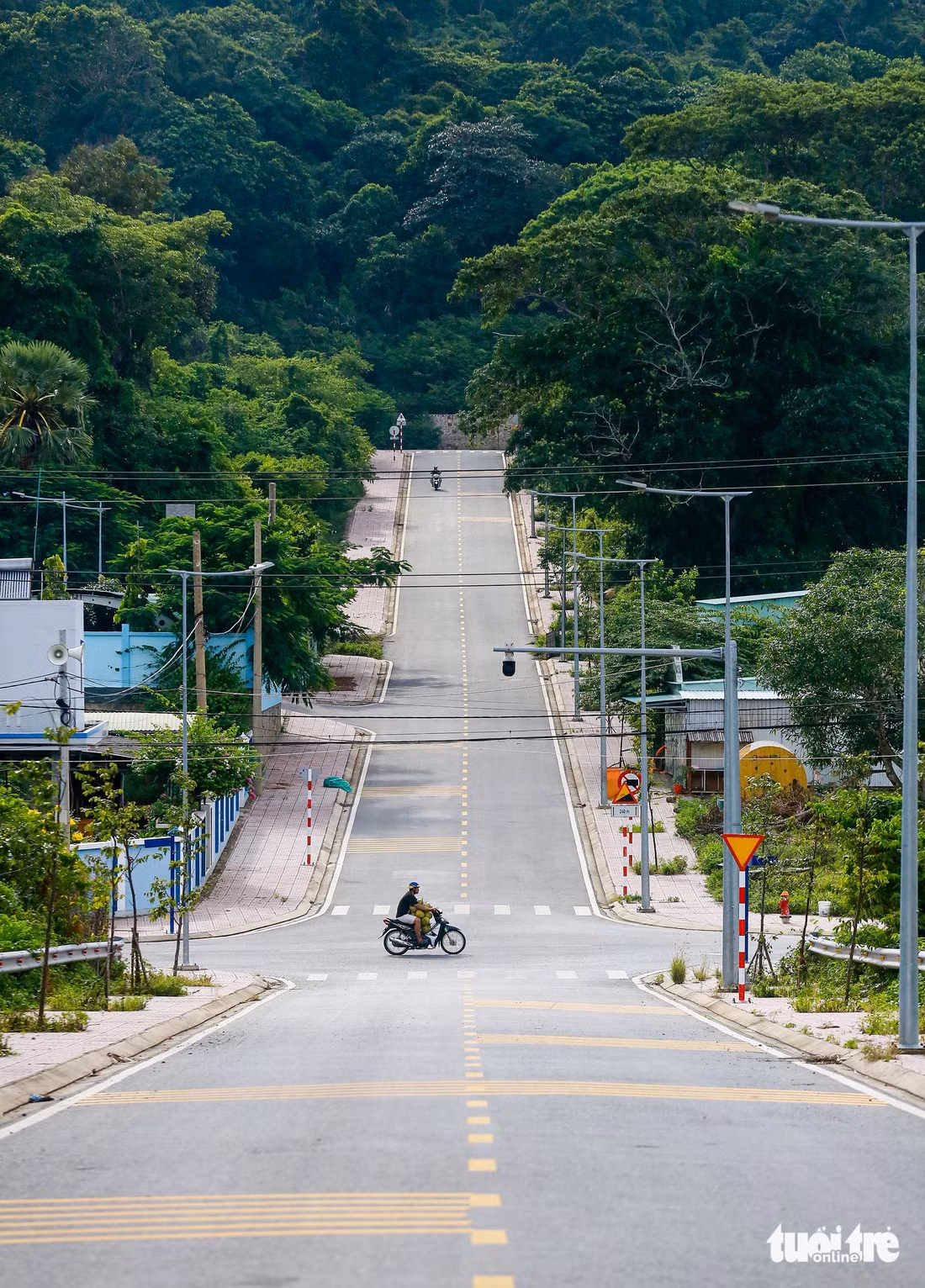 Những con đường dài hai bên rợp bóng cây, cuối đường mở ra khung cảnh cụm rừng xanh bạt ngàn trên hòn đảo